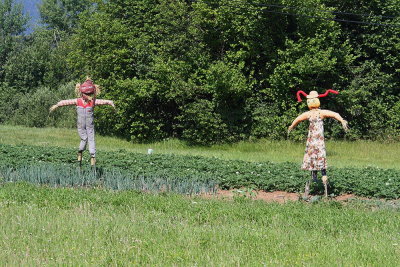 Scarecrows ptičji strašili_MG_0834-111.jpg