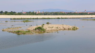 Reservoir Brežice akumulacija Brežice_IMG_5812-111.jpg
