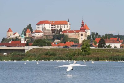 Ptuj with lake Ptuj z jezerom_MG_1427-111.jpg