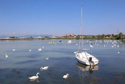 Lake Ptuj Ptujsko jezero_IMG_6979-111.jpg