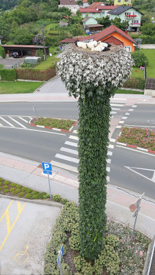 Stork nest gnezdo torklje_IMG_0689-111.jpg