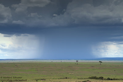 Day 3: Rain in Masai Mara