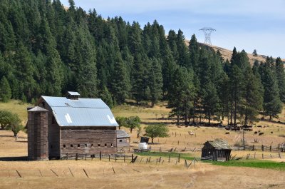 farmland