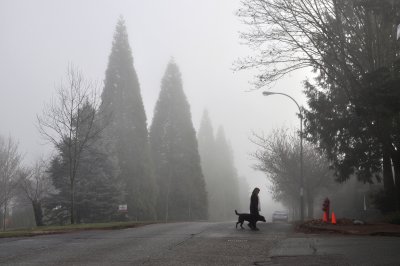 foggy