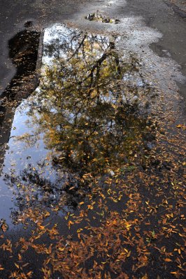 equinox