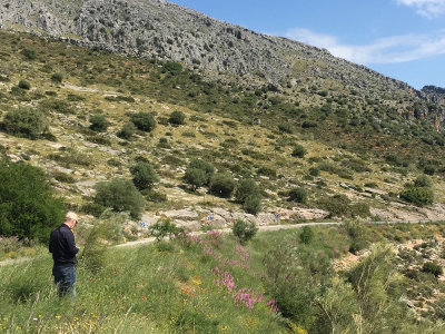 Serrania de Ronda