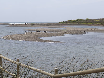 Aconcaoa River Mouth