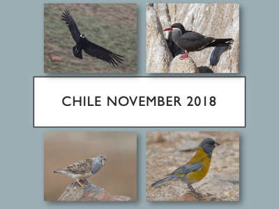 Valle de Colina, Valle del Yeso, La Laguna, Isla Cachagua, Aconcaoa River Mouth