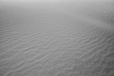 a6_2523 copy.jpg