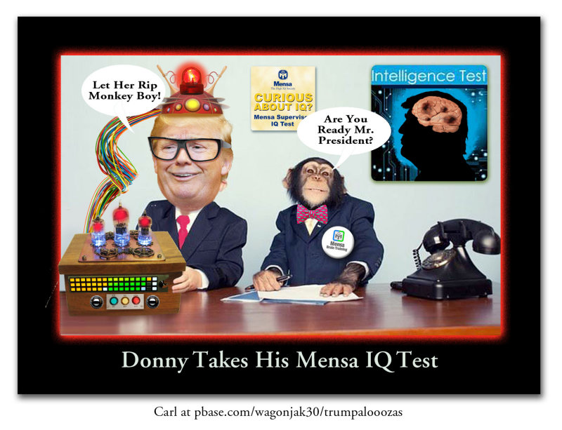 Donny Takes His Mensa IQ Test