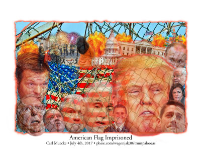 American Flag Imprisoned