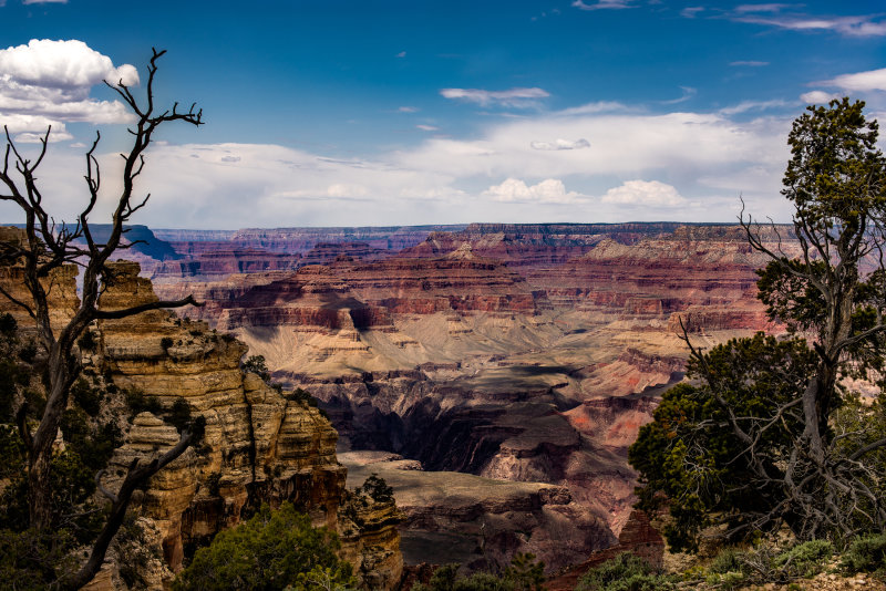 landscapes