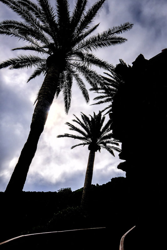 Jameos del Agua