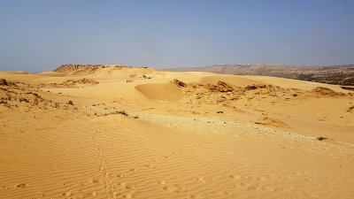 Tamri Les dunes