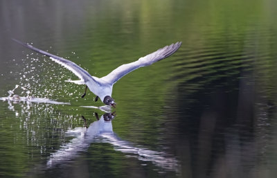 _MG_7846.jpg