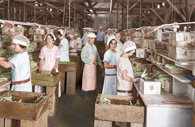 2019 ASP Cannery_sm.jpg