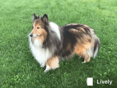 Riley