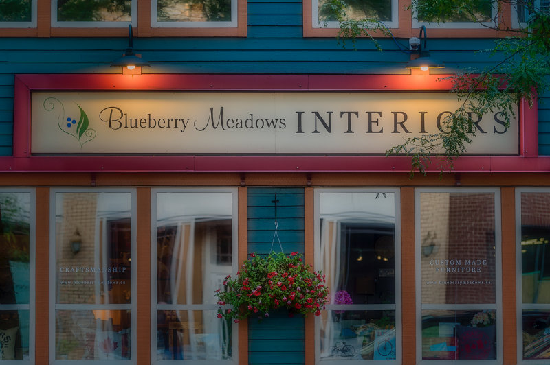 Blueberry Meadows