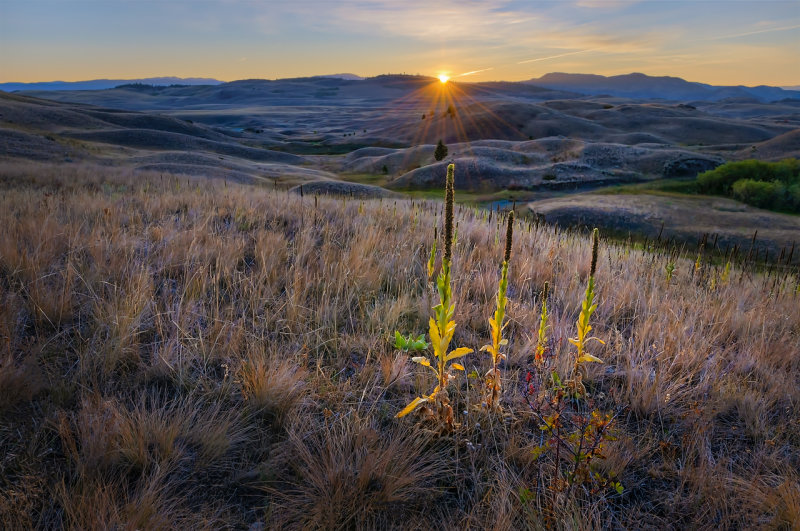 Greeting the Sunrise