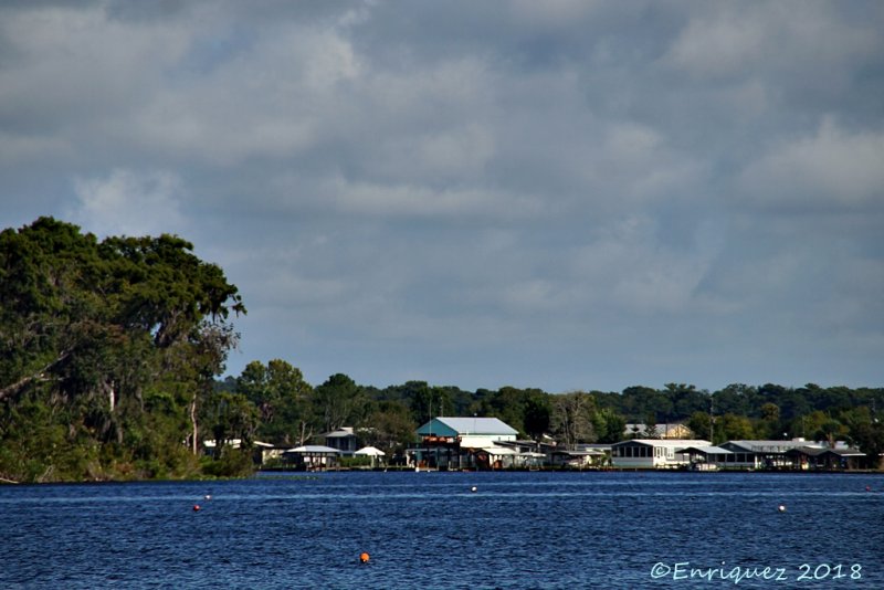 St Johns river seen from Bryants Wharf, Welaka FL