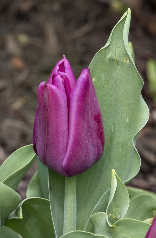 Trying out a new camera...