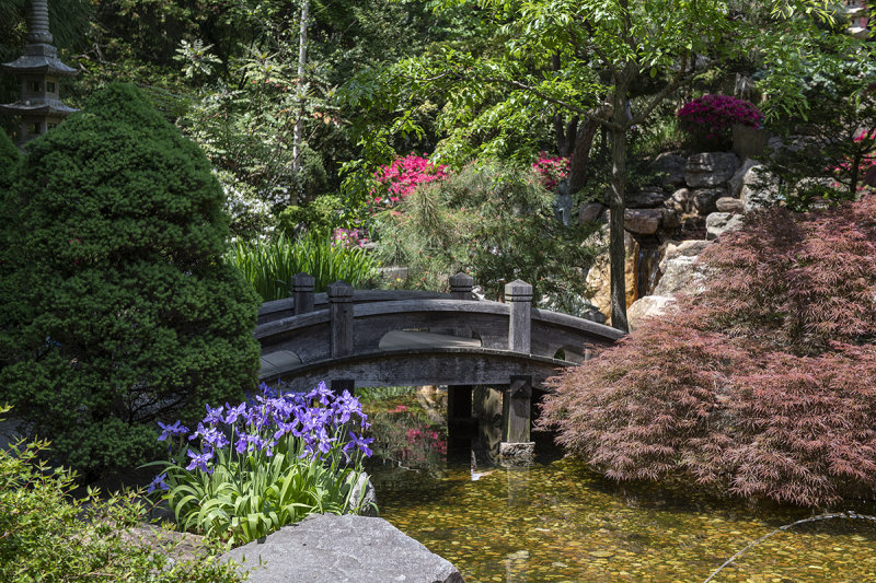 The footbridge