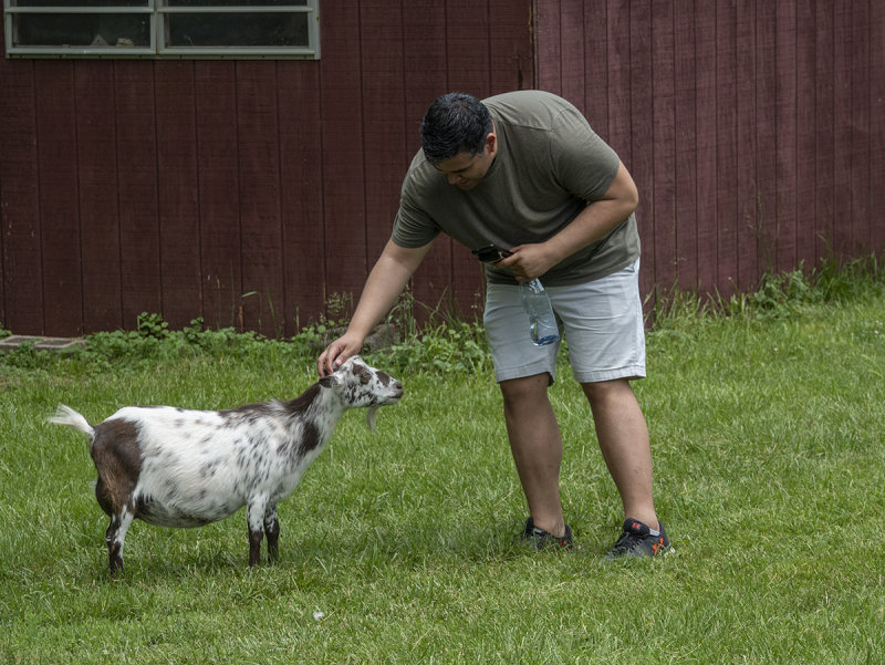 Favorites at the sanctuary