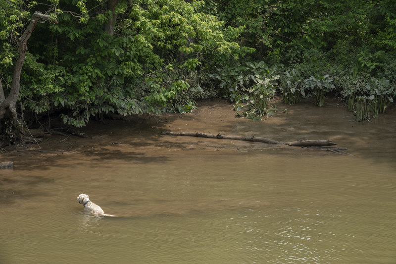 Enjoying the river