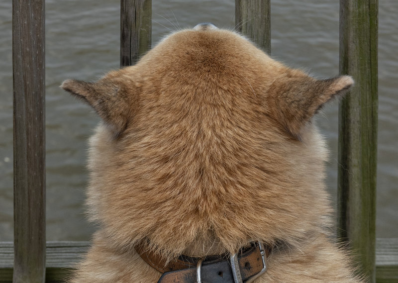 The Potomac through Sahraas eyes