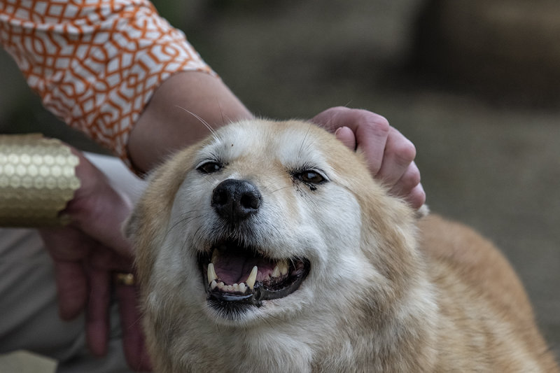 The reason for walks
