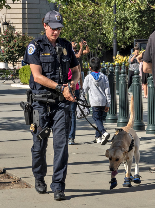 Patrolling in booties