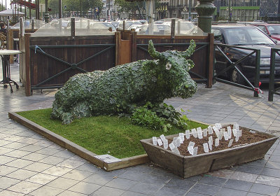 The 'green' cow