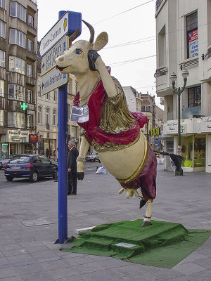 The belly-dancing cow