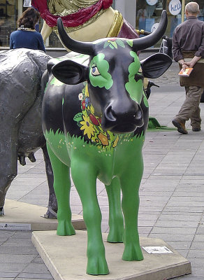 The spring cow