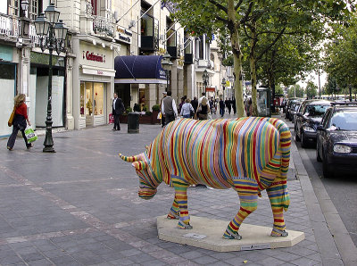 The striped cow