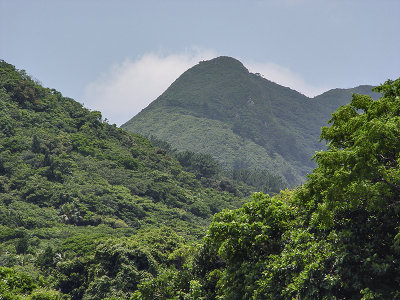Mountainous region, Ishigaki Island