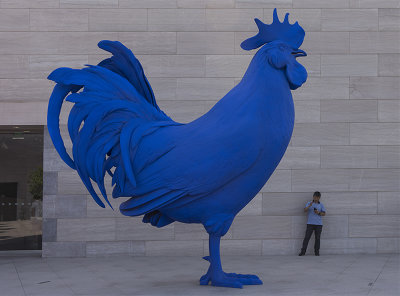 Rooster at the National Gallery