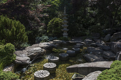The Japanese-style garden