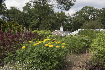 Café beyond the cutting garden