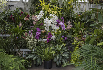 Greenhouse display