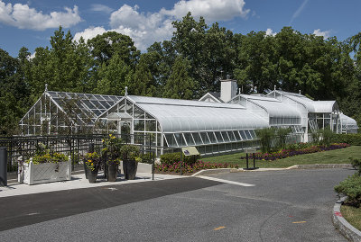 The greenhouse