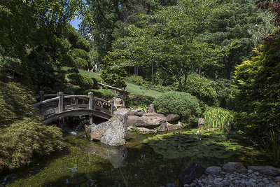 Bridge and lilies in the Japanese garden