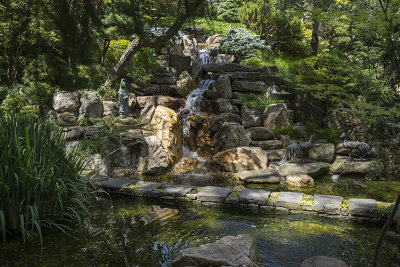 Pond and waterfall, Japanese garden