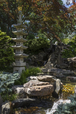 More of the Japanese garden