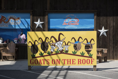 'Goats on the Roof'