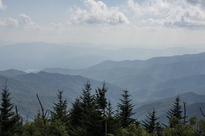 Great Smoky Mountains National Park, again