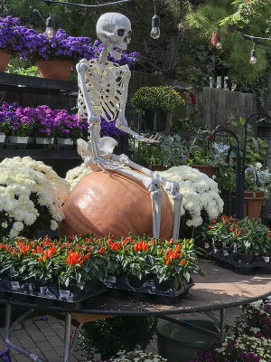 Skeleton on a pumpkin