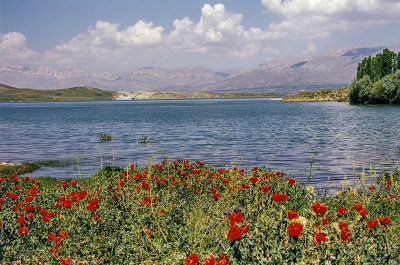 Lake near Malatya