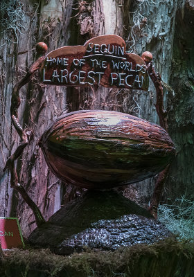 Worlds Largest Pecan, Brunswick, Missouri