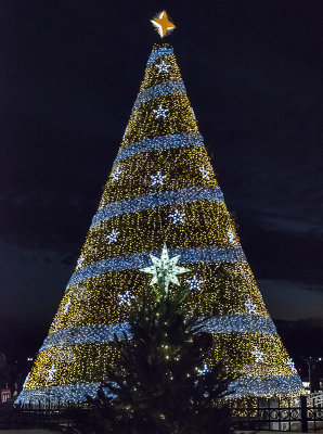 National and state Christmas trees